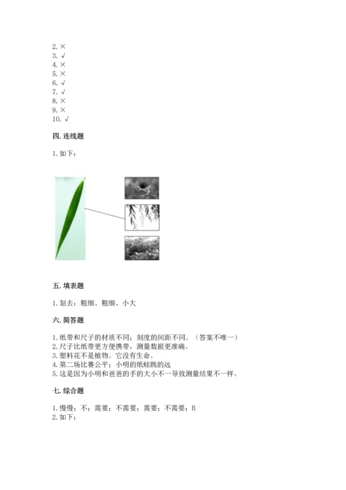 教科版一年级上册科学期末测试卷精品【b卷】.docx