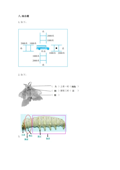 教科版科学三年级下册期末测试卷附完整答案（易错题）.docx