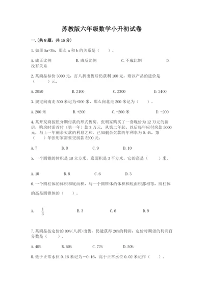 苏教版六年级数学小升初试卷带答案（黄金题型）.docx