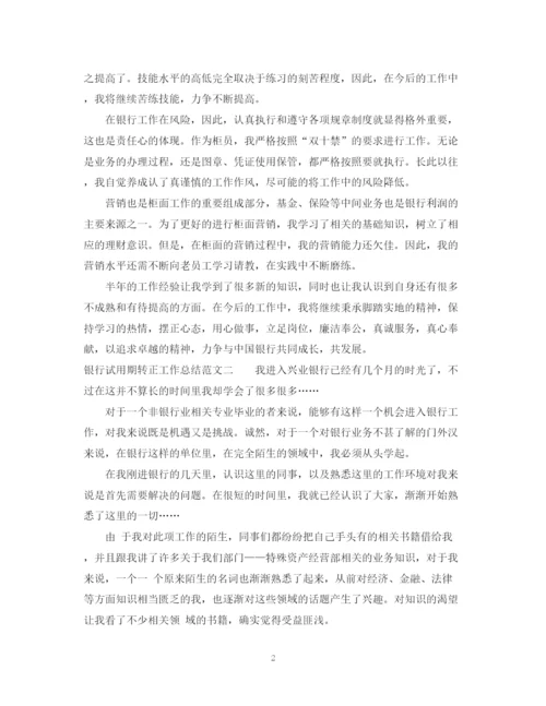 精编之银行试用期转正工作总结范文.docx