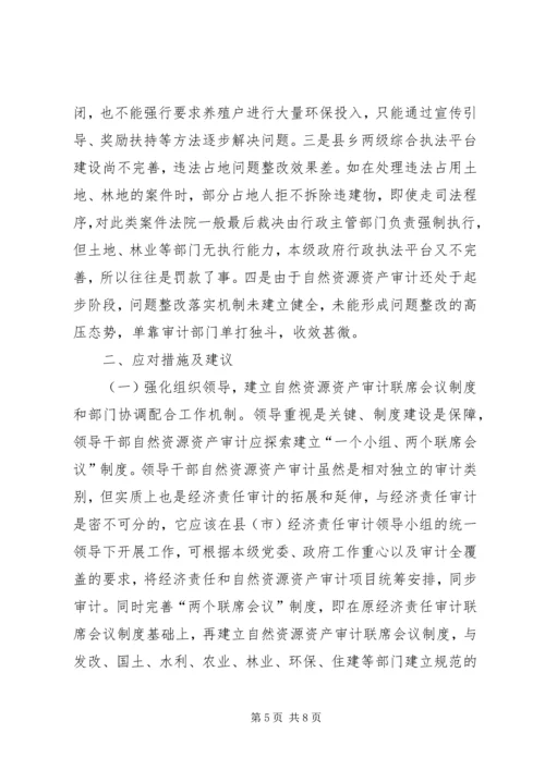 乡镇领导干部自然资源资产审计存在的问题及措施建议.docx