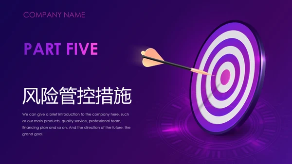 紫色神秘商业项目计划书通用PPT模板