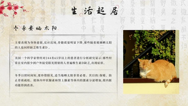 黄色中国风花卉冬季养生带内容PPT模板