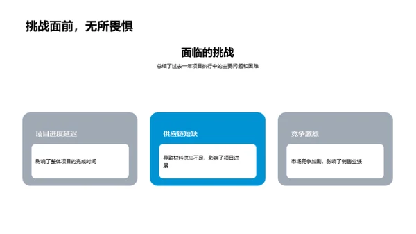 20XX房产项目回顾与展望