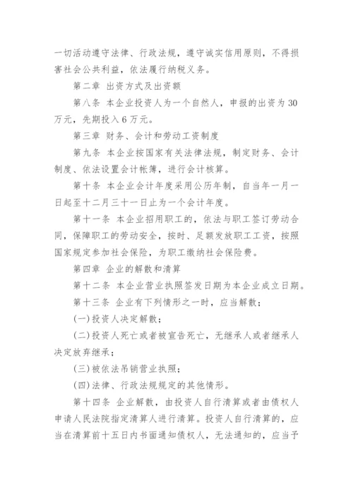 个人独资公司章程.docx