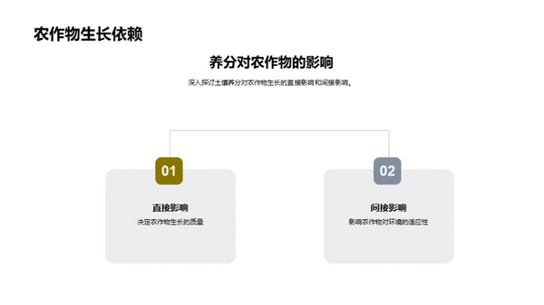 农田土壤养分管理新探