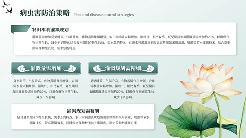 墨绿色中国风夏至节气PPT模板