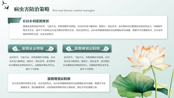 墨绿色中国风夏至节气PPT模板