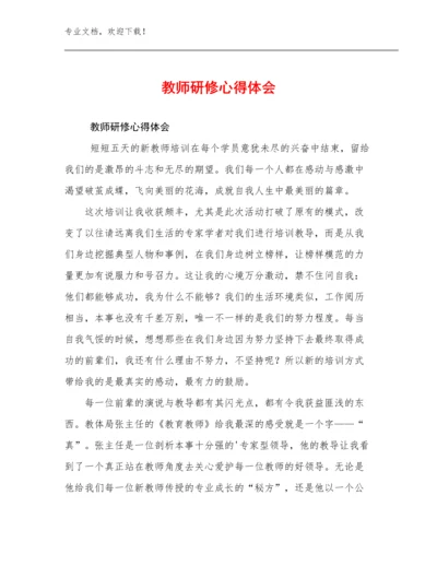 2023教师研修心得体会优选例文19篇.docx