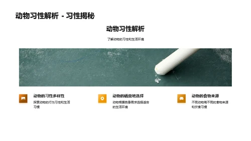 探秘动物世界