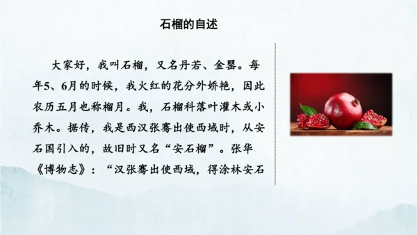 统编版语文八年级下册第二单元写作《说明的顺序》课件(共49张PPT)