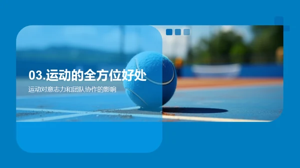运动乐园五年级