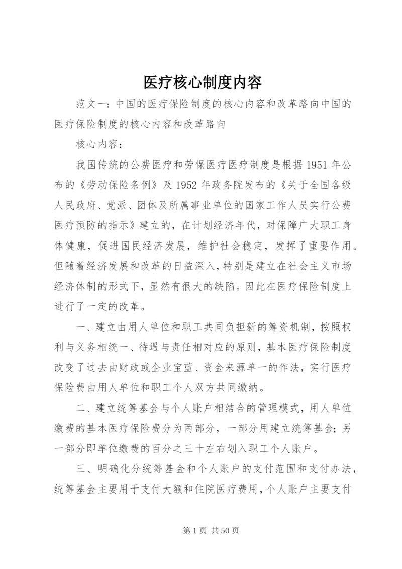 医疗核心制度内容.docx