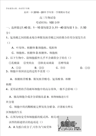 福建省泉州一中2011届高三上学期期末考试卷生物