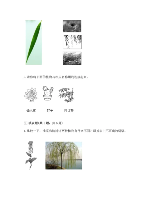 教科版科学一年级上册第一单元《植物》测试卷及参考答案【a卷】.docx