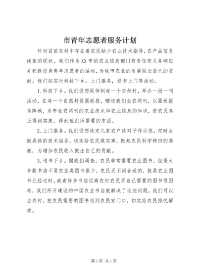 市青年志愿者服务计划.docx