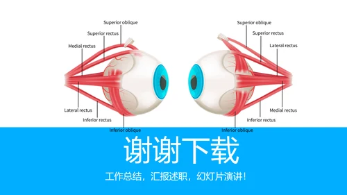 眼科工作总结与计划动态PPT