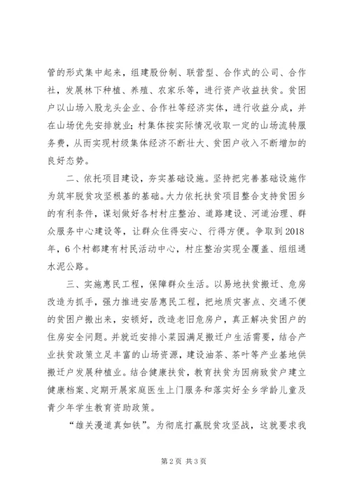 乡镇政府主要负责人脱贫攻坚心得体会.docx