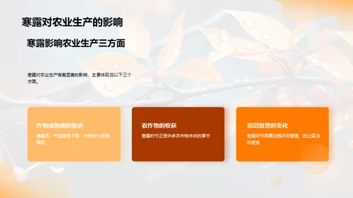 探索寒露节气