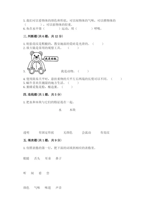 教科版一年级下册科学期末测试卷word版.docx