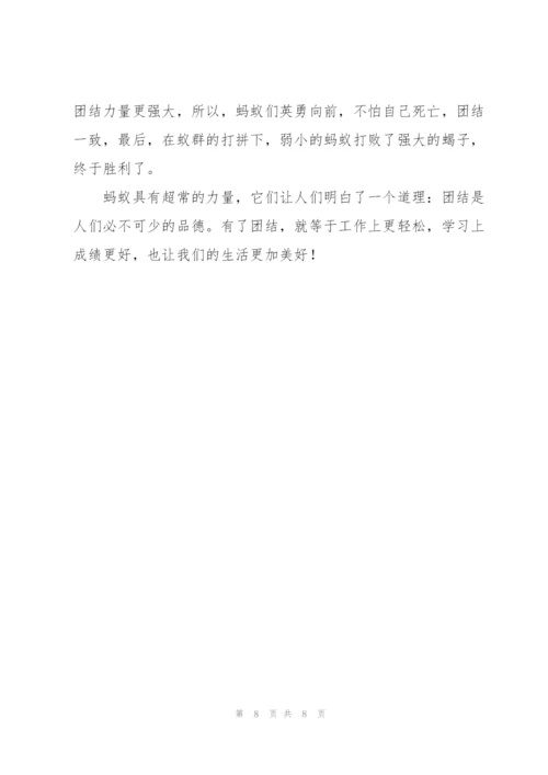 有关团结作文300字8篇.docx
