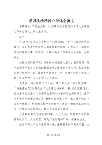 学习沈浩精神心得体会范文.docx