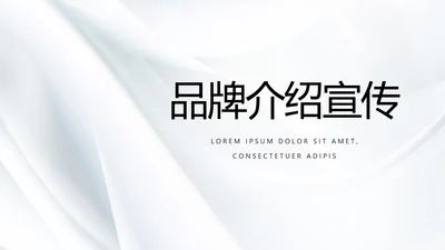 公司品牌介绍宣传策划方案工作总结动态PPT