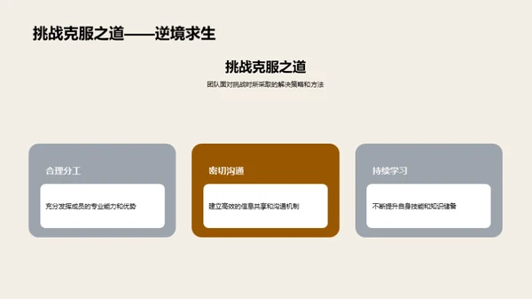 半年绩效与未来展望