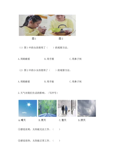 教科版二年级上册科学期末测试卷精品【有一套】.docx