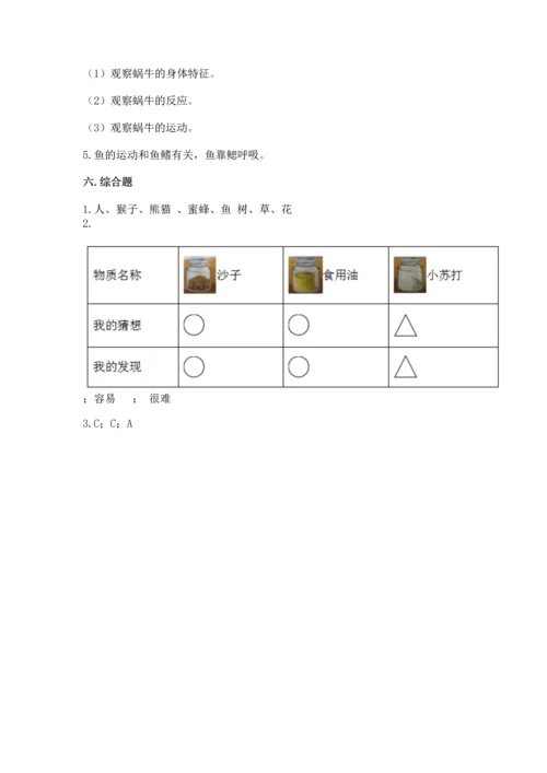 教科版一年级下册科学期末测试卷及参考答案（培优a卷）.docx