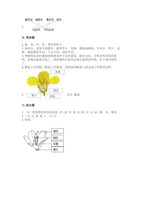 教科版科学四年级下册第一单元《植物的生长变化》测试卷【基础题】.docx