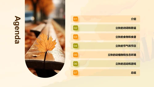 橙色插画小学生立秋课题培训课件PPT模板