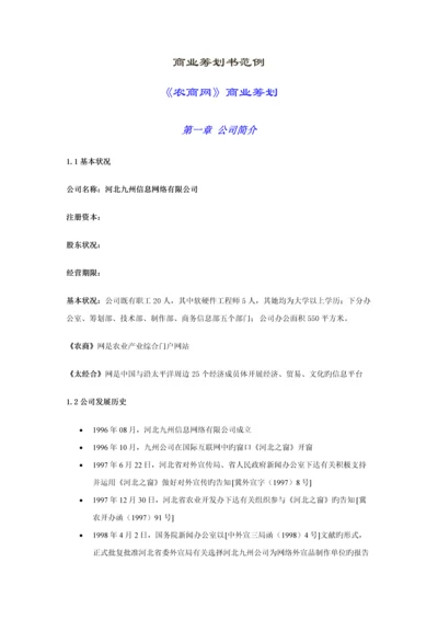 公司农商网商业综合计划书.docx