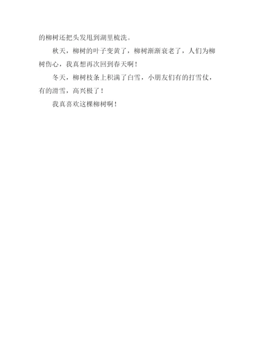 描写柳树作文.docx