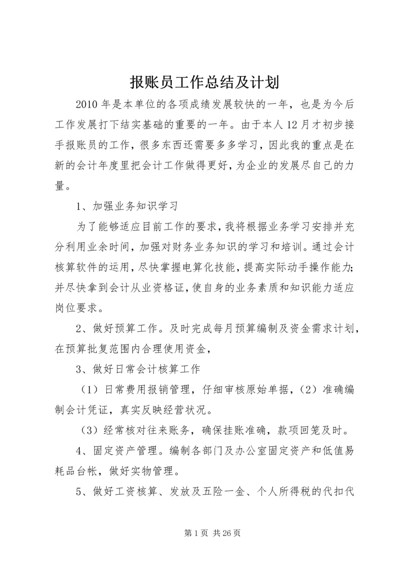 报账员工作总结及计划.docx