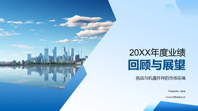 20XX年度业绩回顾与展望