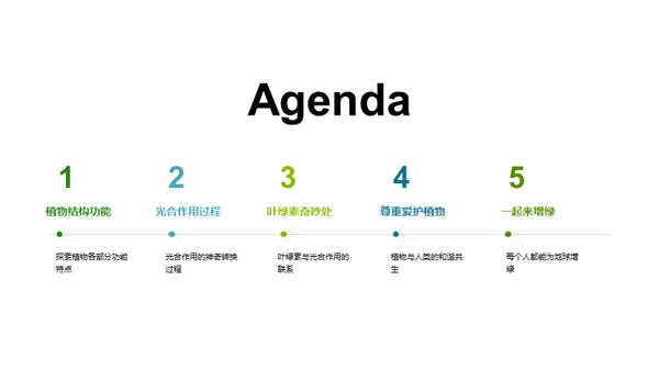揭秘绿色之源