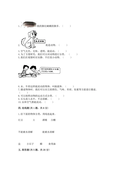 教科版一年级下册科学期末测试卷（典优）.docx