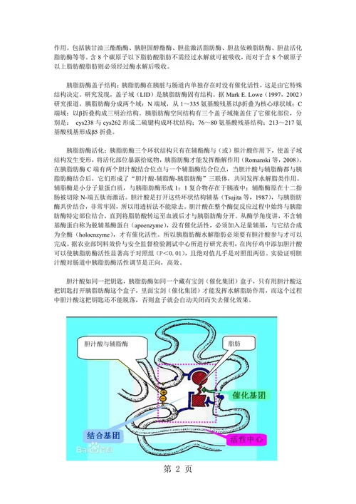 胆汁酸在脂肪代谢过程中不可替代作用有哪些