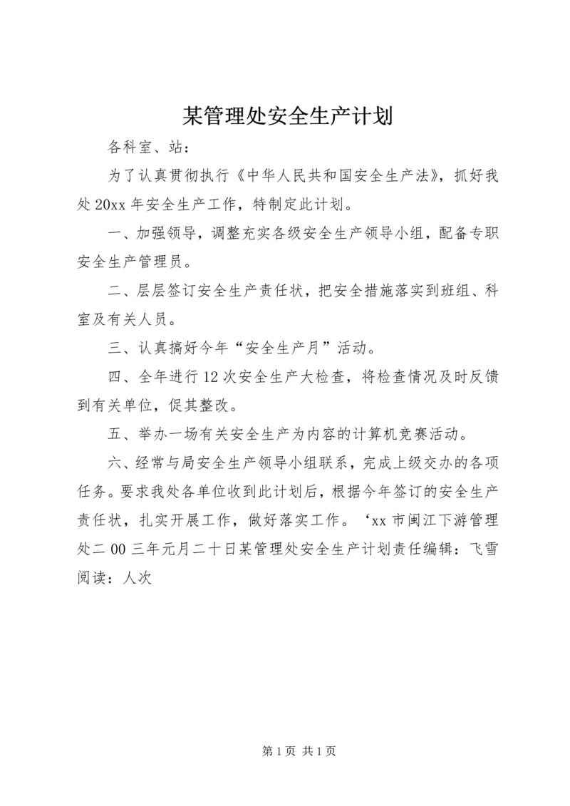 某管理处安全生产计划.docx