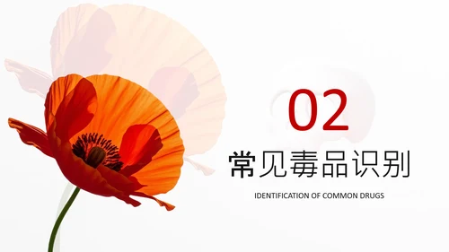 红色简约风远离毒品PPT