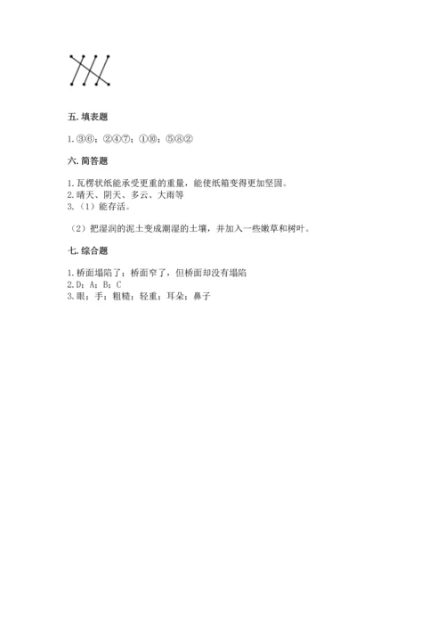教科版二年级上册科学期末测试卷（巩固）.docx