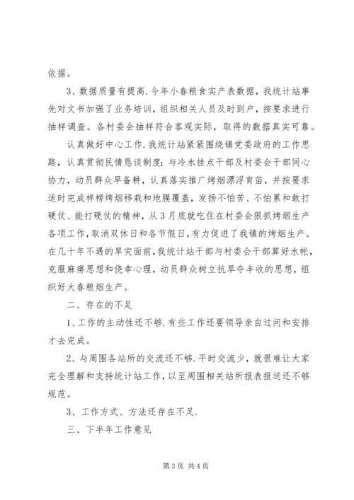 统计站XX上半年工作总结及下半年工作计划 (3).docx