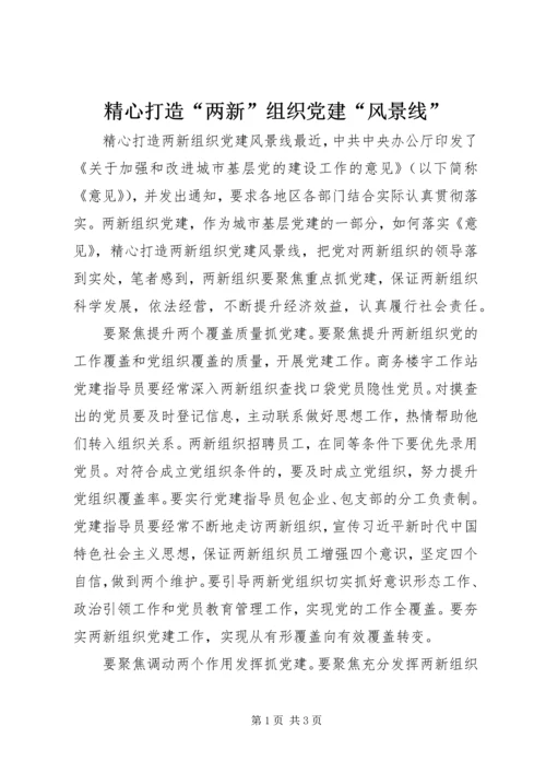 精心打造“两新”组织党建“风景线”.docx