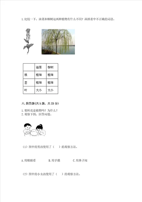 教科版一年级上册科学期末测试卷及答案有一套