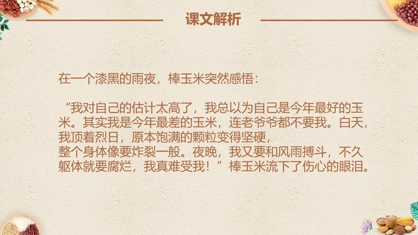 最棒的玉米小学四年级语文课文PPT课件