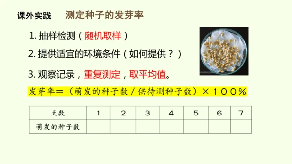 3.1.1 种子的萌发-七年级生物下学期同步精品课件（2024人教版）(共25张PPT)