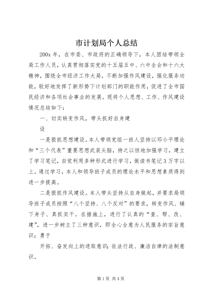 市计划局个人总结 (13).docx