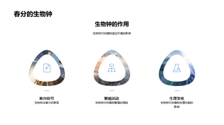 春分现象与生态