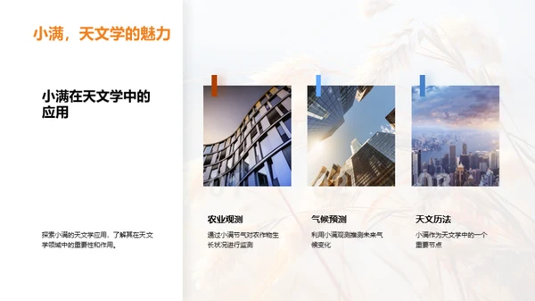 小满节气全解析